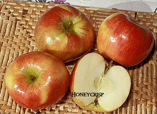 Honeycrisp Apples, Each - DroneUp Delivery