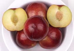 果物 HIROMI Hiromi Red Plum | DWN Variety Finder
